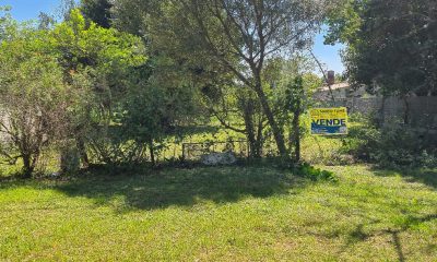 Diagonal 12 entre las 71 y la 77