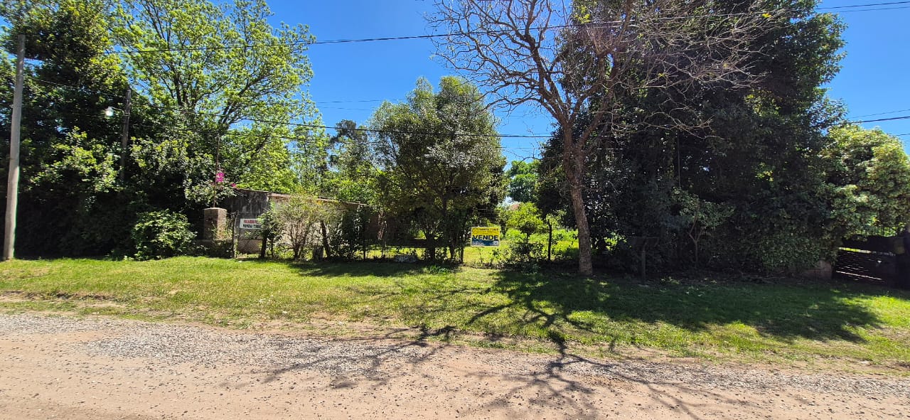 b5ed9c24-5d3a-46f0-9d8f-bda325e8b21f