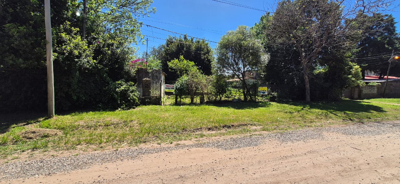 d58f038b-a889-47d8-ab98-4cd7348f9929