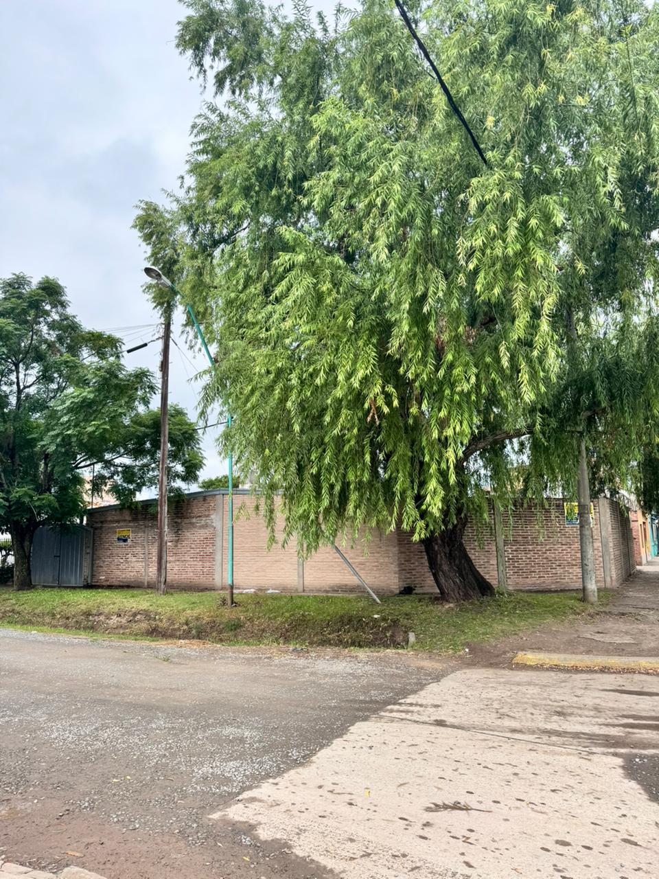 2f555ef8-0dea-4a80-b949-6e042d104424-2