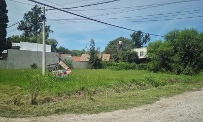 calle Suecia casi Suiza