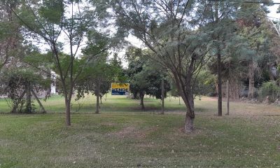 Ceibos entre Camelias y Eva Peron